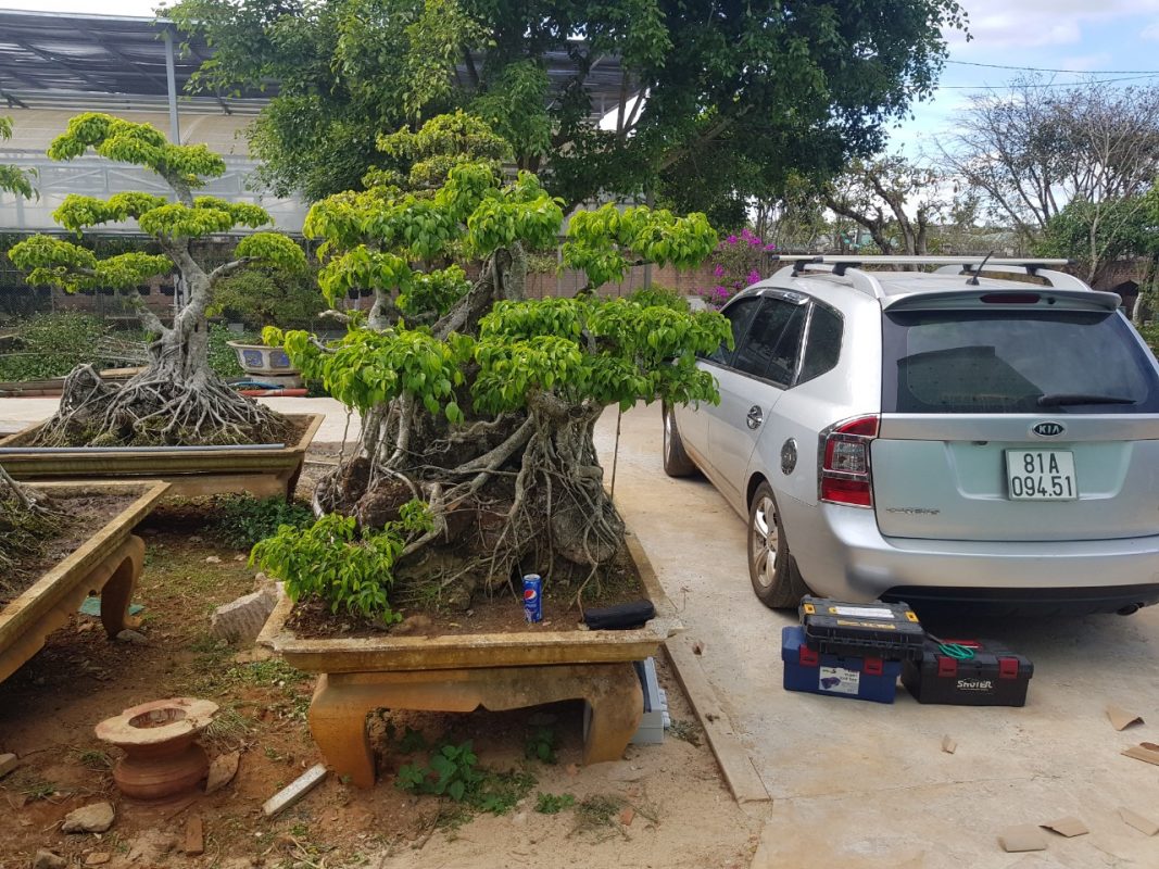 Điện năng lượng mặt trời Thanh Phong Solar