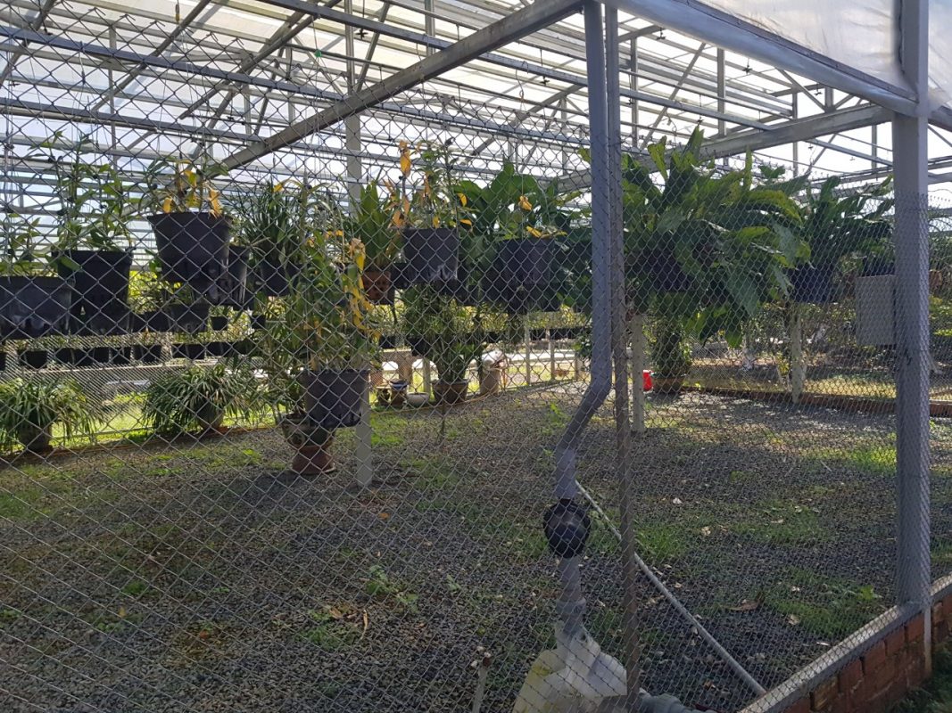 Điện năng lượng mặt trời Thanh Phong Solar