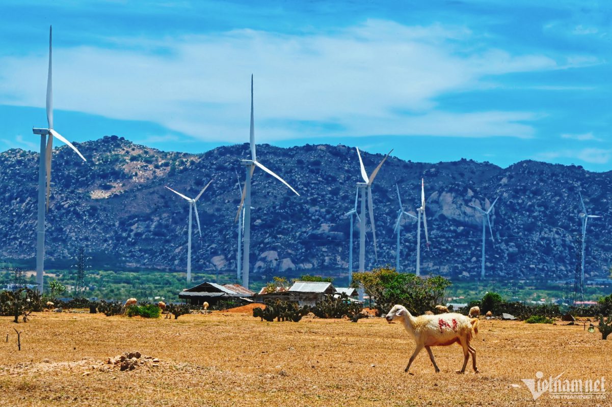 Điện năng lượng mặt trời Thanh Phong Solar